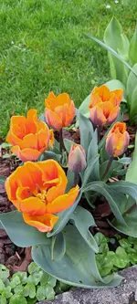 20240405_133227.webp