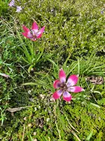 20240405_124353.webp