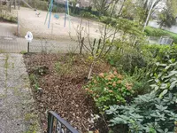 IMG_20240401_152501.webp