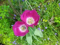 IMG_20240405_121327.webp