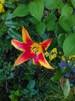 IMG_20240405_121402.jpg