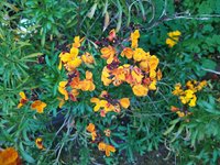 IMG_20240405_121437.jpg