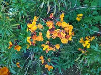 IMG_20240405_121437.webp