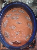 IMG_20240405_115811.jpg