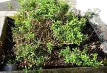 P1440327.webp P1440327.webp