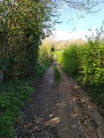 IMG_20240406_101135.jpg