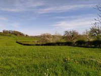 IMG_20240406_101332.jpg