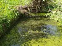 IMG_20240406_102411.webp