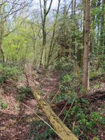 IMG_20240406_104502.jpg