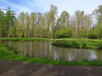 IMG_20240406_105301.webp