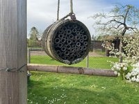 IMG_0480.jpeg