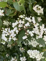 IMG_2518.webp