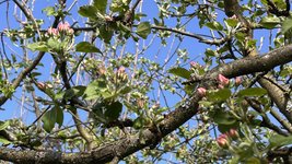 IMG_9587.jpeg