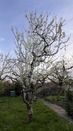 IMG_9617.jpeg
