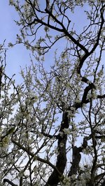 IMG_9618.jpeg