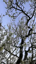 IMG_9618.jpeg