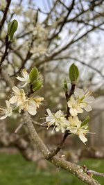 IMG_9621.jpeg
