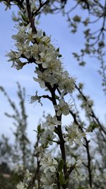 IMG_9622.jpeg