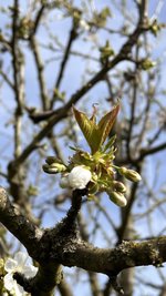 IMG_9609.jpeg