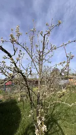 IMG_9603.jpeg