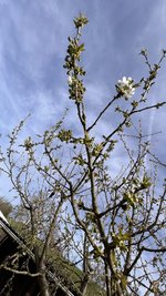 IMG_9610.jpeg
