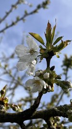 IMG_9608.jpeg