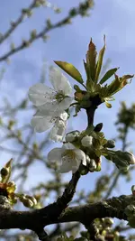 IMG_9608.jpeg