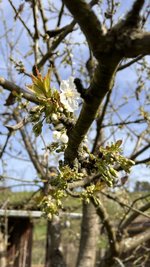 IMG_9611.jpeg