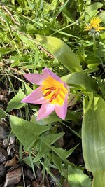 IMG_9601.jpeg
