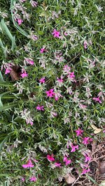 IMG_9572.jpeg