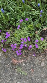 IMG_9574.jpeg