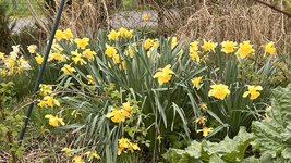 IMG_9562.jpeg