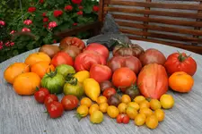 August 1420.webp August 1420.webp