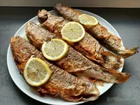 Saiblinge vom Eußertal 2.webp Saiblinge vom Eußertal 2.webp