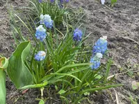 IMG_0482.webp