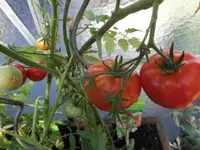 DSCI0372 (2).webp DSCI0372 (2).webp