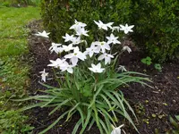 IMG_20240406_144616.webp