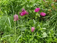 IMG_20240406_144734.webp