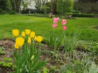 IMG_20240406_144817.webp