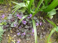 IMG_20240406_144828.webp