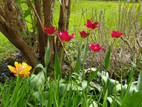 IMG_20240406_144840.webp