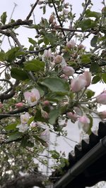IMG_9638.jpeg