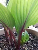 20240407_183917.webp