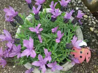 IMG_20240408_192218.jpg