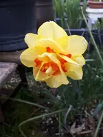 20240406_175626.webp