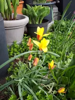 20240408_174608.webp