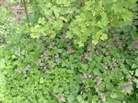 IMG_20240407_124700.webp
