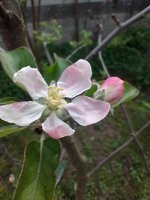 IMG_20240407_123953.jpg