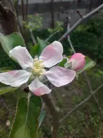 IMG_20240407_123953.webp