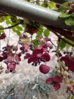IMG_20240406_183651.webp